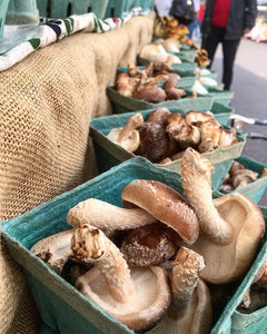 Forest Floor Mushrooms Chalk Bag